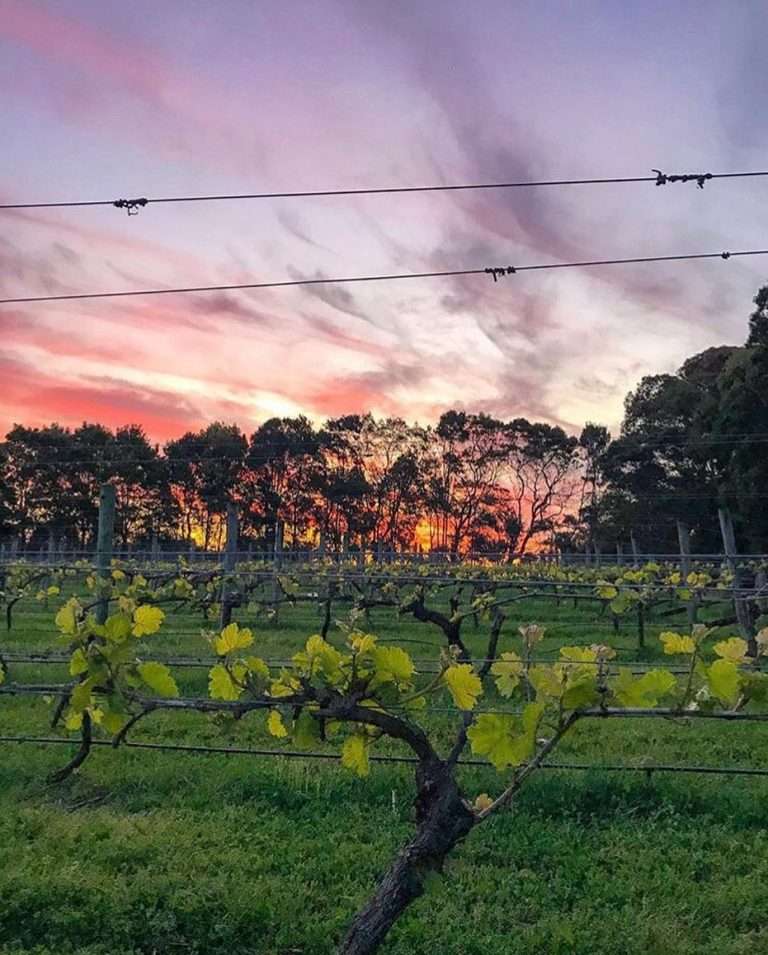 2019 04 09 BwCXrAcH6Rj 2018279693494494307