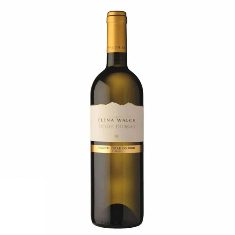 ELENA-WALCH-MuCC88ller-Thurgau-IGT-2019-1