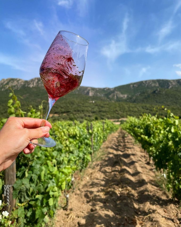 2021 06 24 CQg4EOBt8jy 2603327165163882738