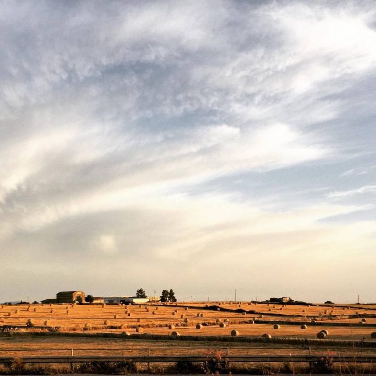 Arianna Occhipinti 3