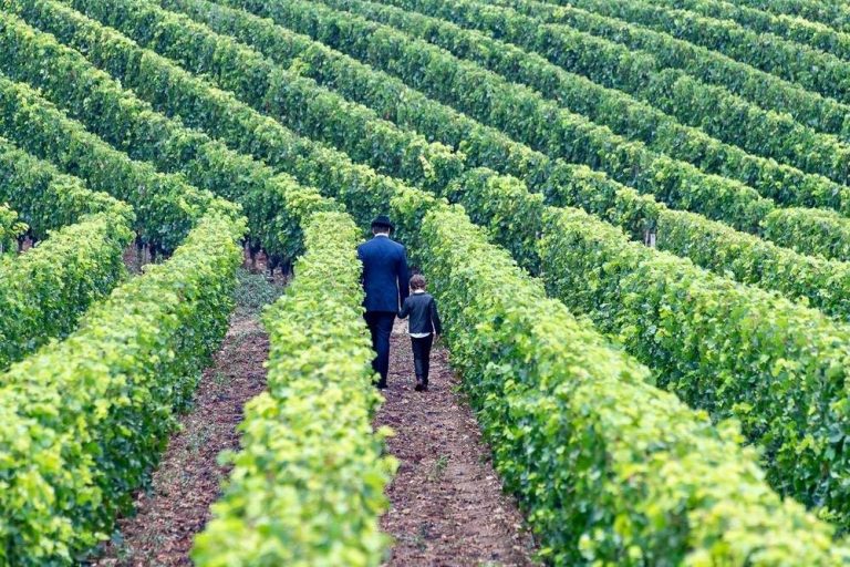 Chateau Bélair Monange 1