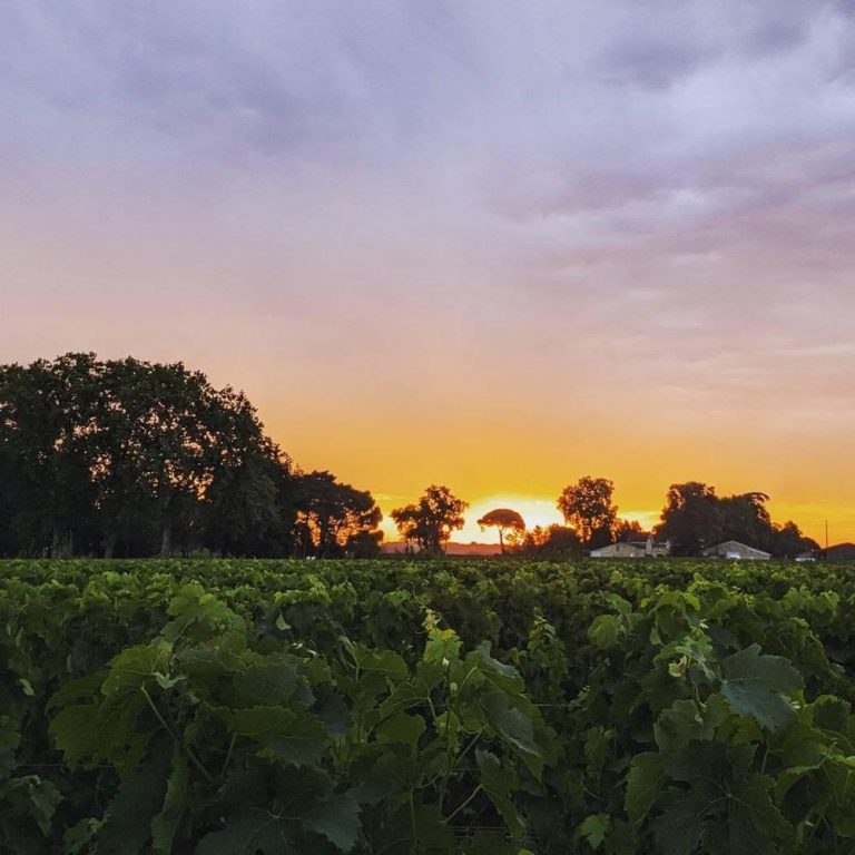 Chateau Cheval Blanc 3