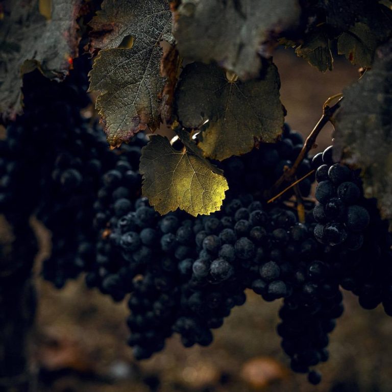 Chateau La Conseillante 1