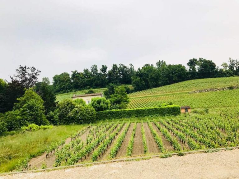 Chateau Petrus Gaia 2