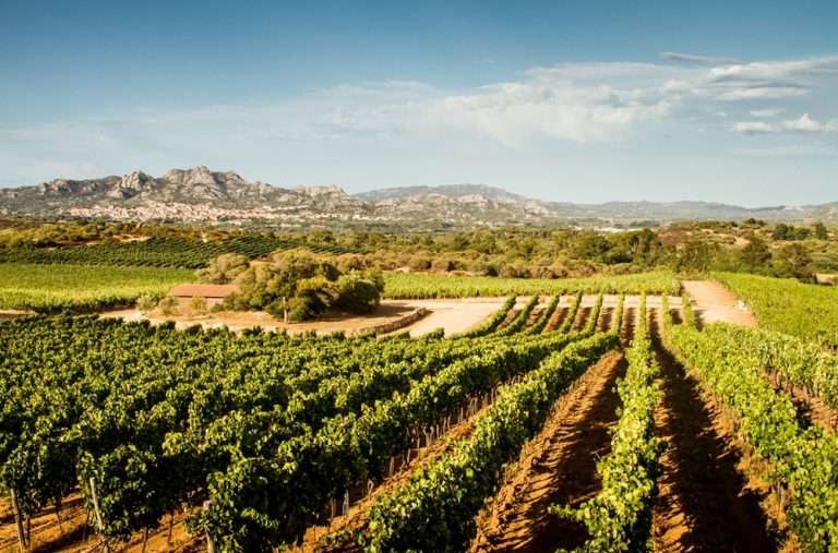 enoteca, enoteca online, champagne, spumante, vini di pregio, prosecco, vini rossi, vini bianchi, vendita vino online, vini online, champagne online, vendita vini, vini francesi, vini italiani, comprare vini online, vini scontati