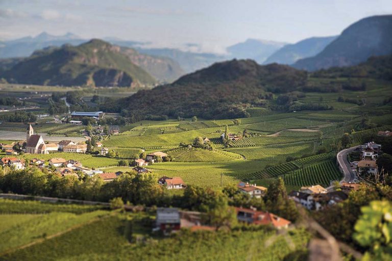 baron longo, cantina baron longo