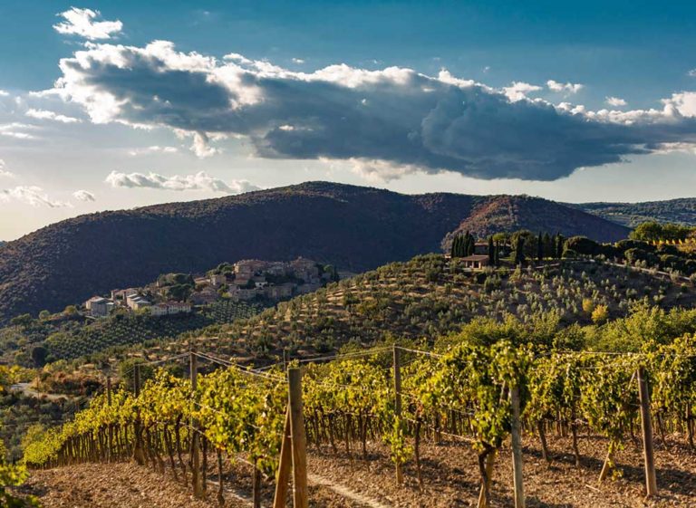 enoteca, enoteca online, vini, vini online, vini in offerta, vini rossi, vini bianchi, vini rossi online, acquista vini online, vendita vini online,poggio di sotto, vini poggio di sotto