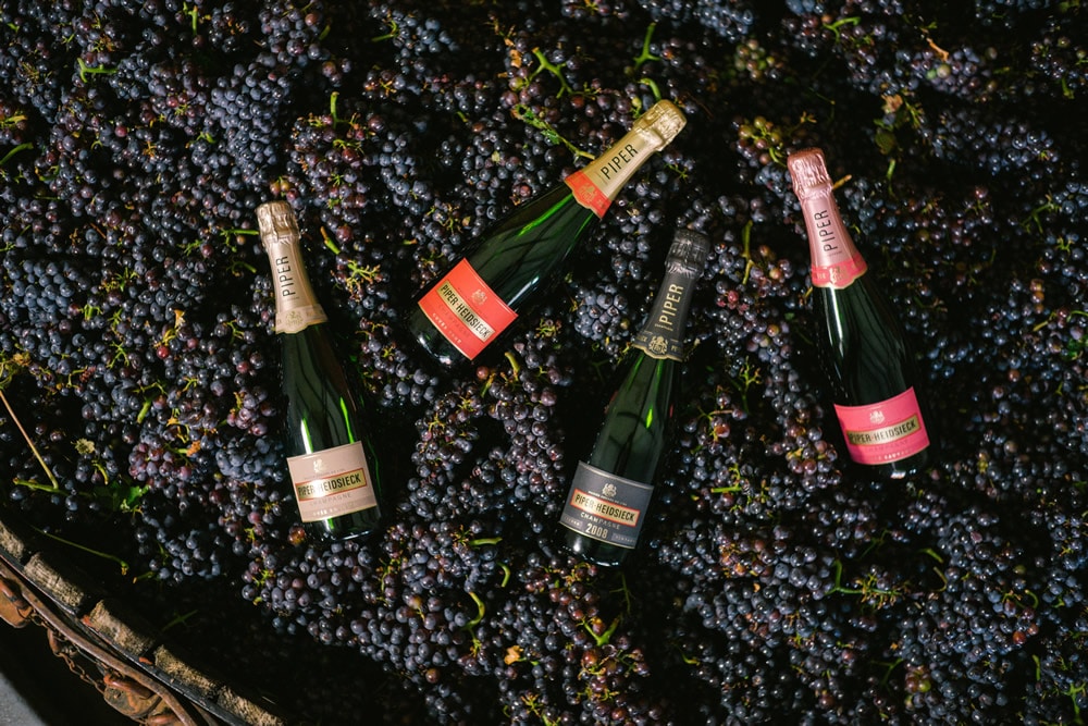 Produttori 60 - MarketdiVino.it piper heidsieck, champagne piper heidsieck