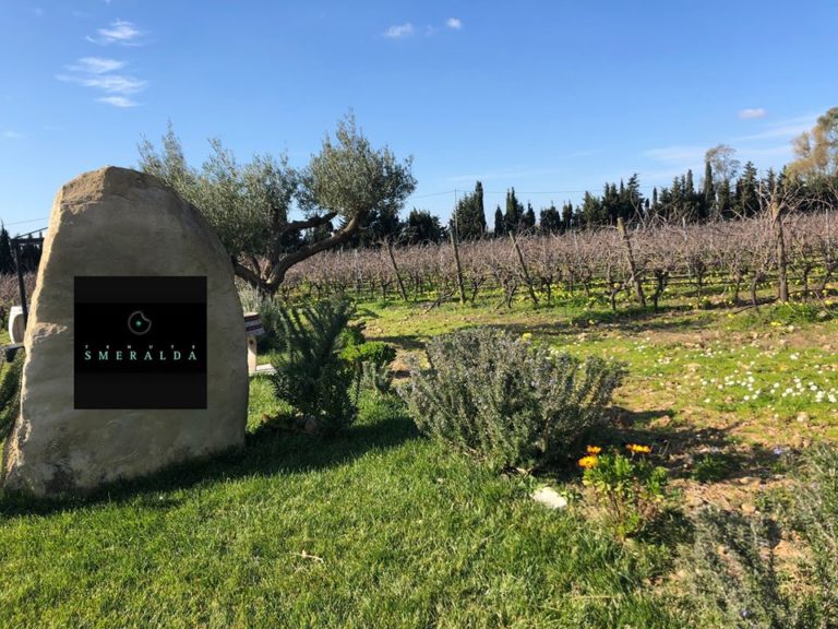 tenute smeralda, vini tenute smeralda