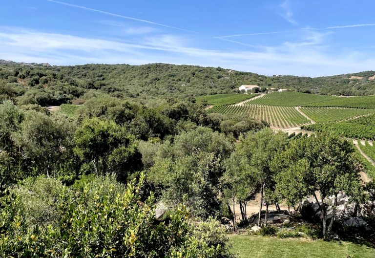 capichera, vini capichera