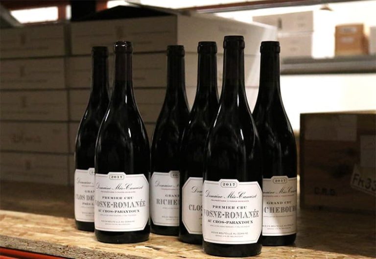 Domaine Méo-Camuzet, domaine meo camuzet, vini domaine meo camuzet