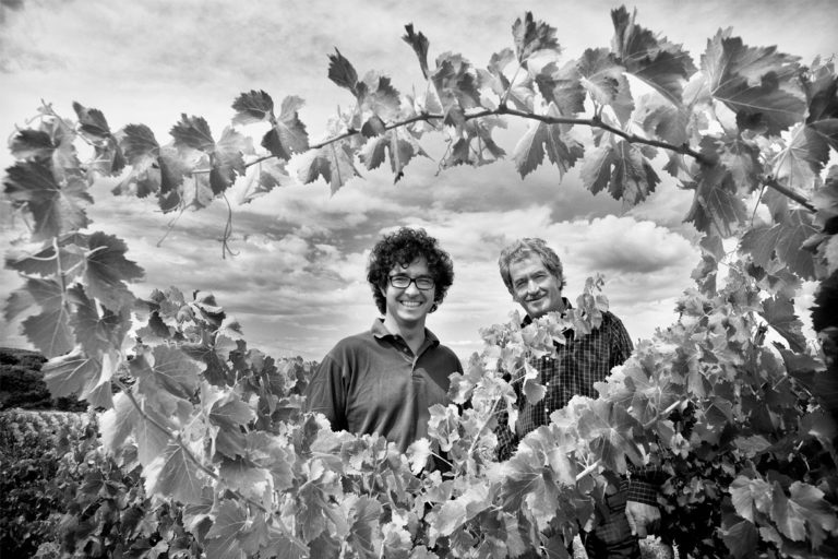 tenute dettori, cantina dettori, vini dettori