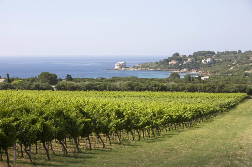 santa maria la palma, cantina santa maria la palma, vini santa maria la palma